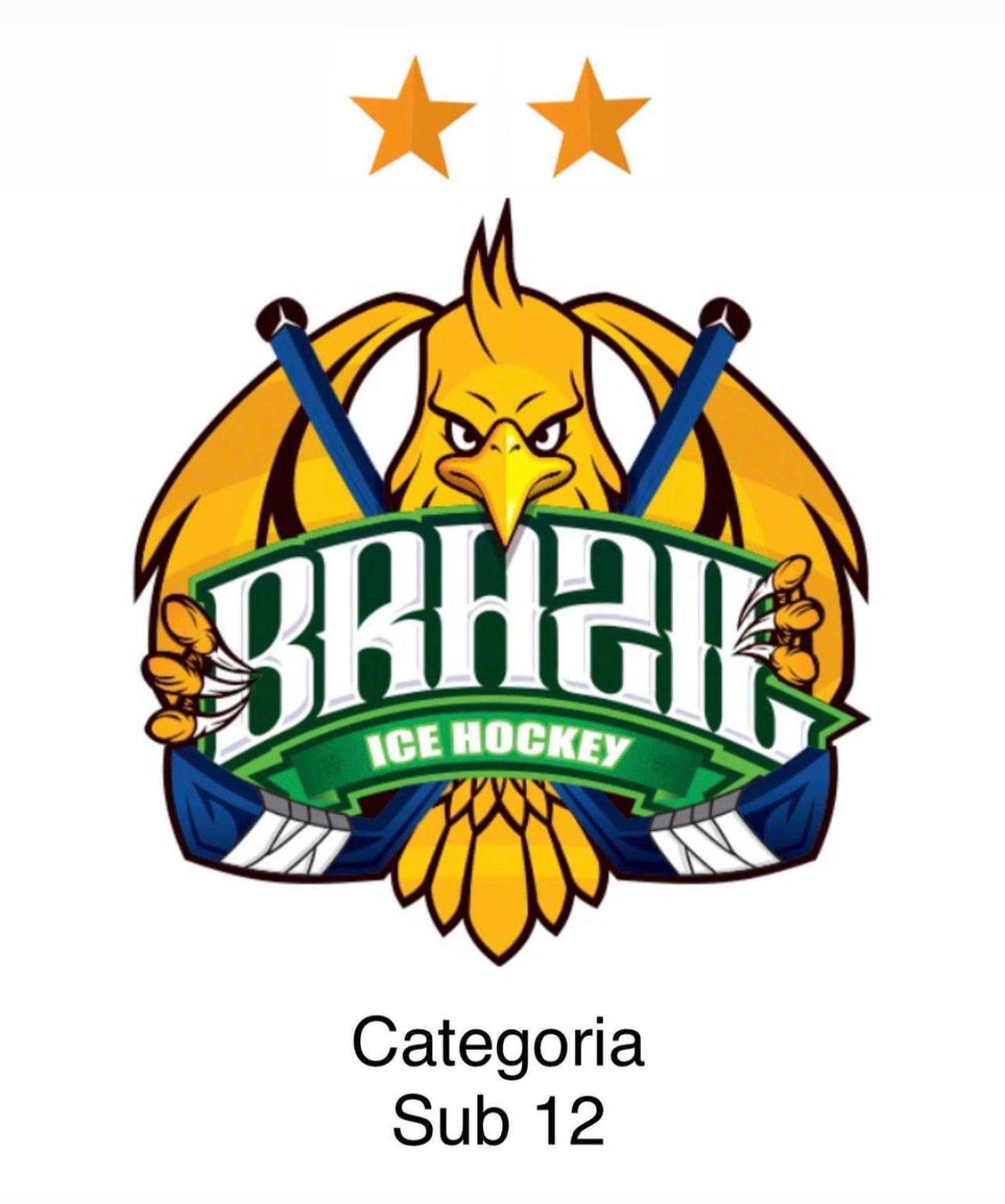 BRAZIL ICE HOCKEY Ice Hockey no Brasil e pelo Mundo